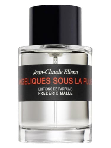 Angéliques Sous La Pluie