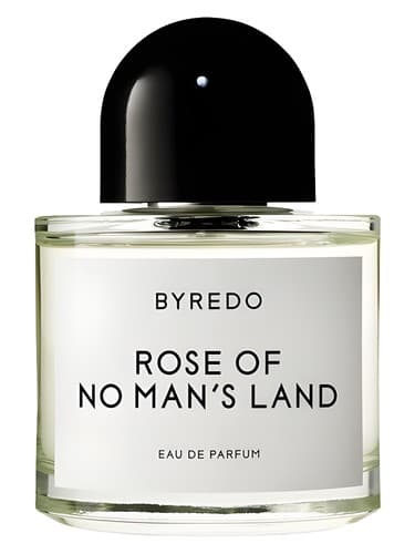 Rose Of No Man's Land