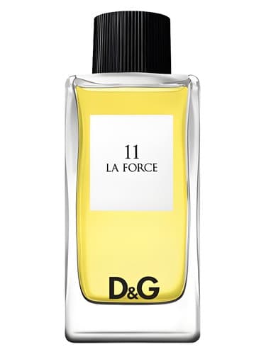 D&G Anthology La Force 11